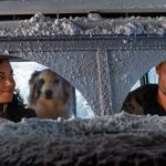 festive-movies-the-noel-diary